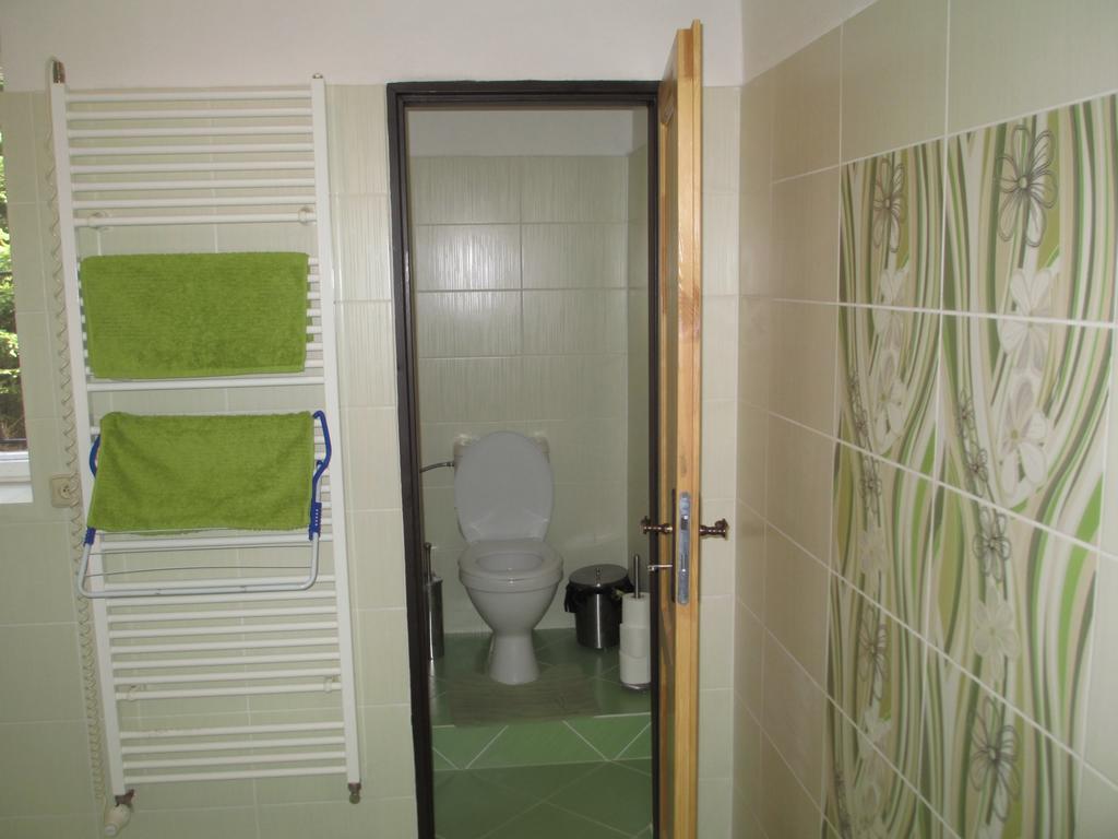 Penzion Pancer Vejprty Buitenkant foto